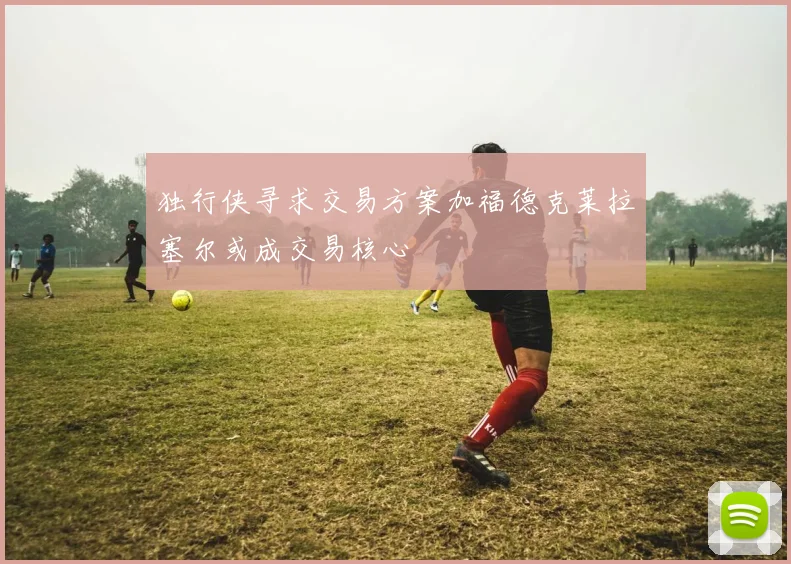 独行侠寻求交易方案加福德克莱拉塞尔或成交易核心