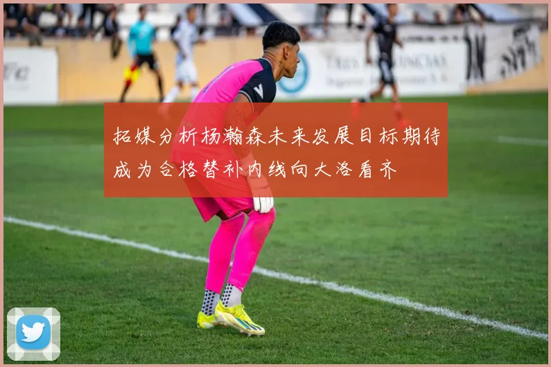 拓媒分析杨瀚森未来发展目标期待成为合格替补内线向大洛看齐