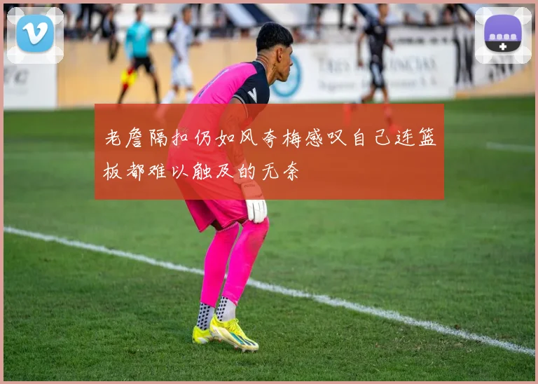 老詹隔扣仍如风夸梅感叹自己连篮板都难以触及的无奈